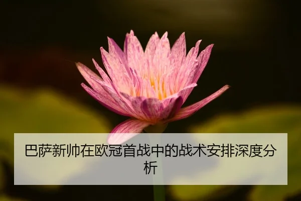 ba-sa-xin-shuai-zai-ou-guan-shou-zhan-zhong-de-zhan-shu-an-pai-shen-du-fen-xi-2-890.jpg