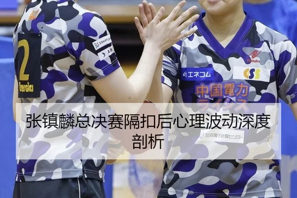 张镇麟总决赛隔扣后心理波动深度剖析